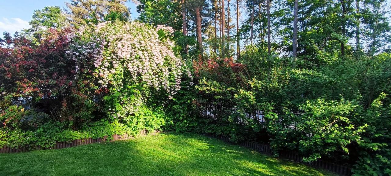 Ferienwohnung Waldidylle Küsten Exterior foto